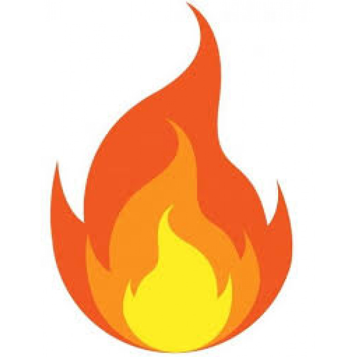 Ochrana lesov pred požiarmi 